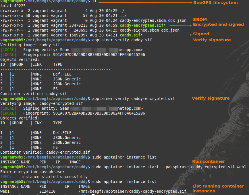 Check container source and run it