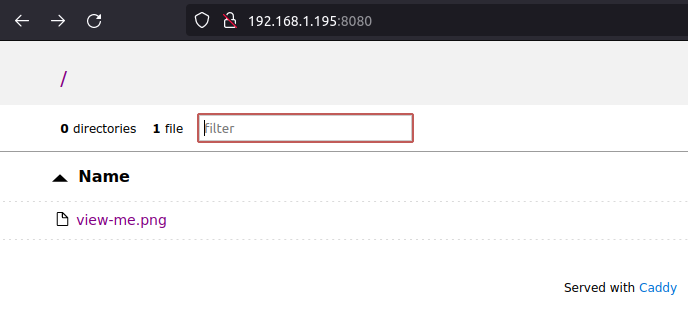 Caddy instance in encrypted Apptainer