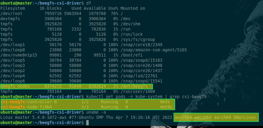BeeGFS CSI for ARM64