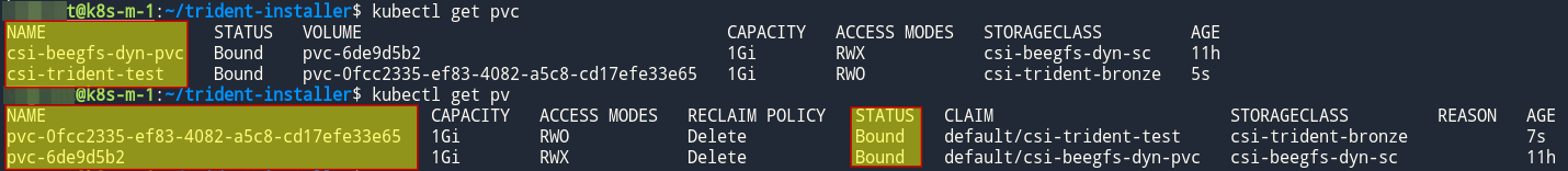 Kubernetes cluster with Trident CSI and BeeGFS CSI