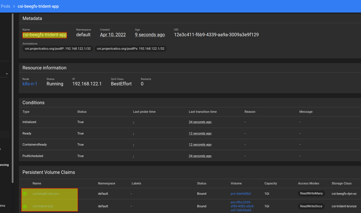Kubernetes Pod with Trident and BeeGFS PVs
