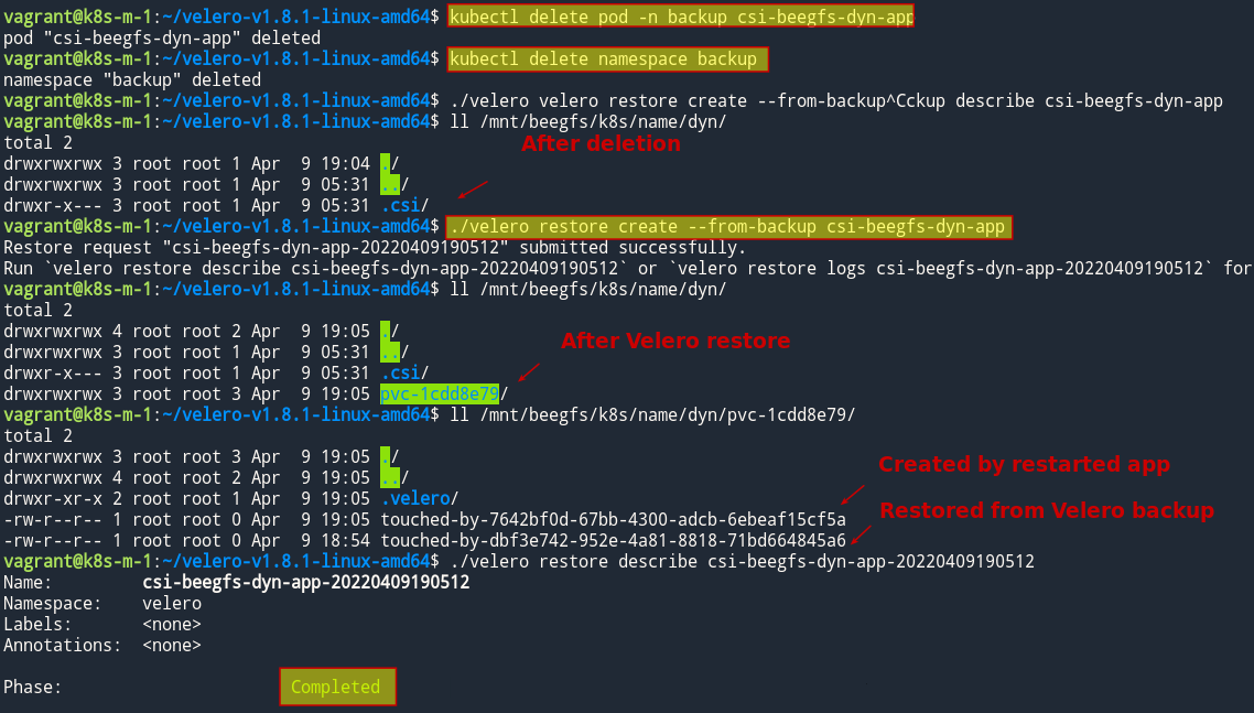 Velero restore to BeeGFS data