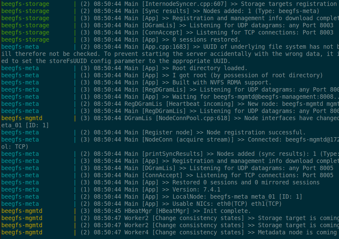 Docker Compose with BeeGFS up and running