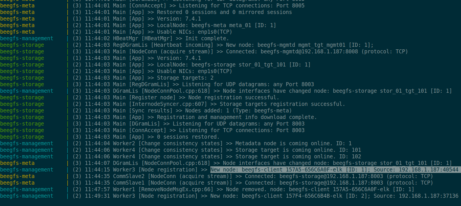 Docker Compose with BeeGFS client connected