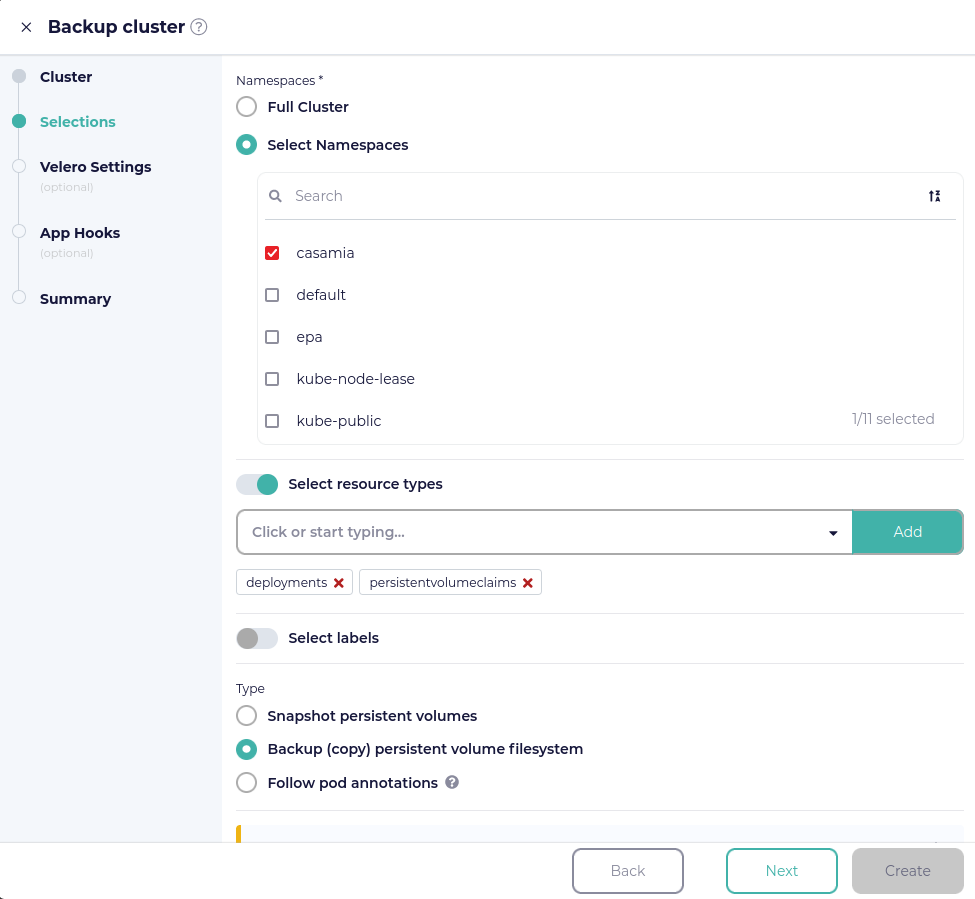 CloudCasa backup job options
