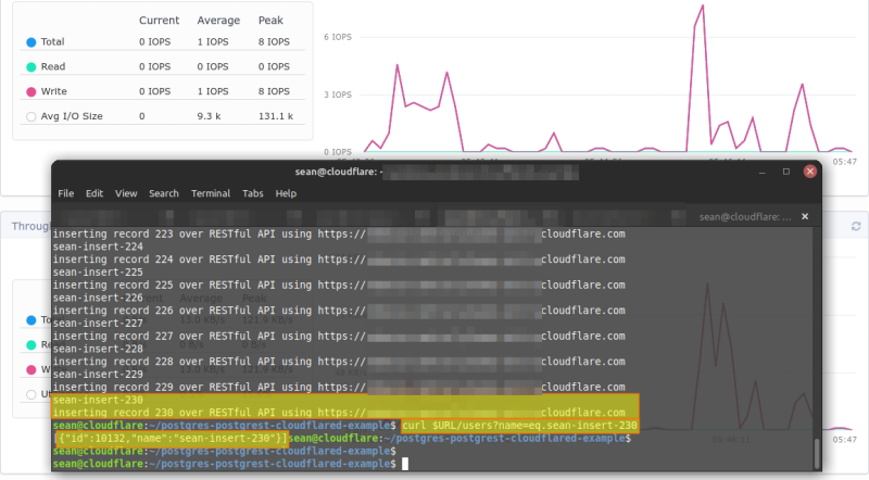 Cloudflare DNS with Web Proxy