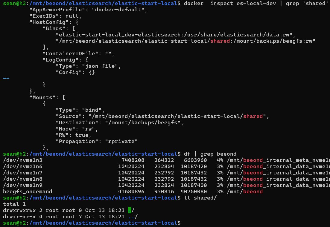 Docker inspect of BeeGFS