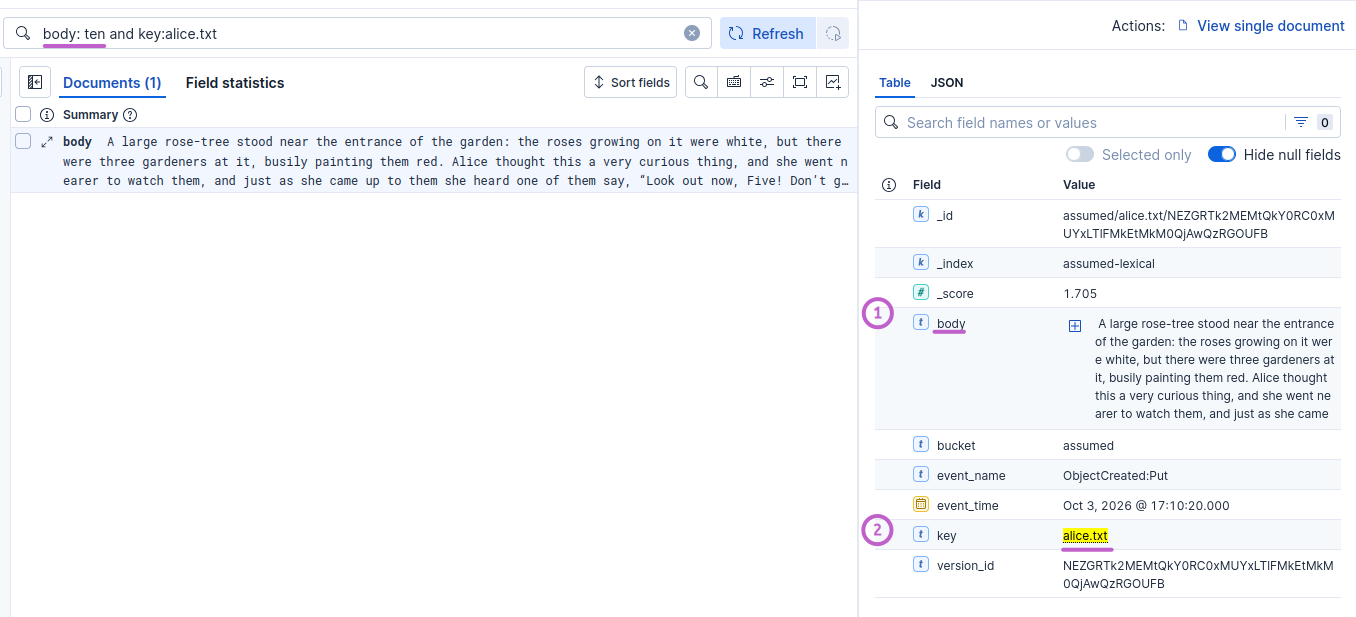 Full text search in Elasticsearch 9