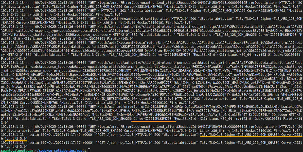 PQ NGINX logs from Firefox and curl