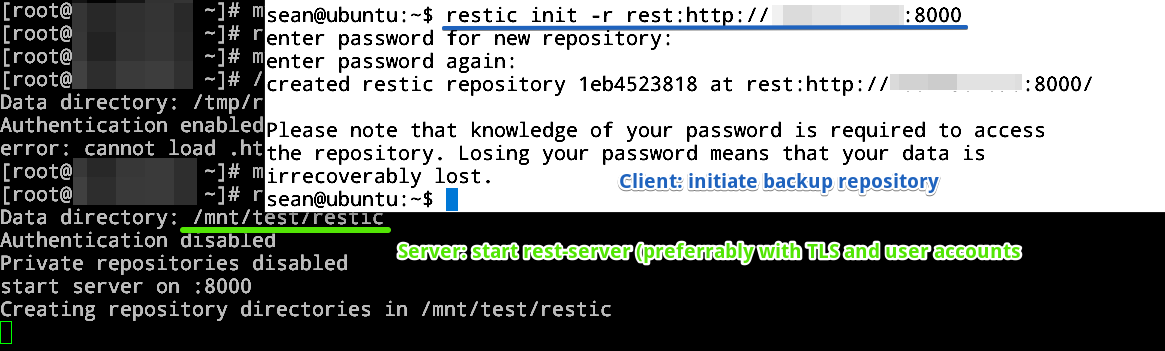 Initialize restic repo