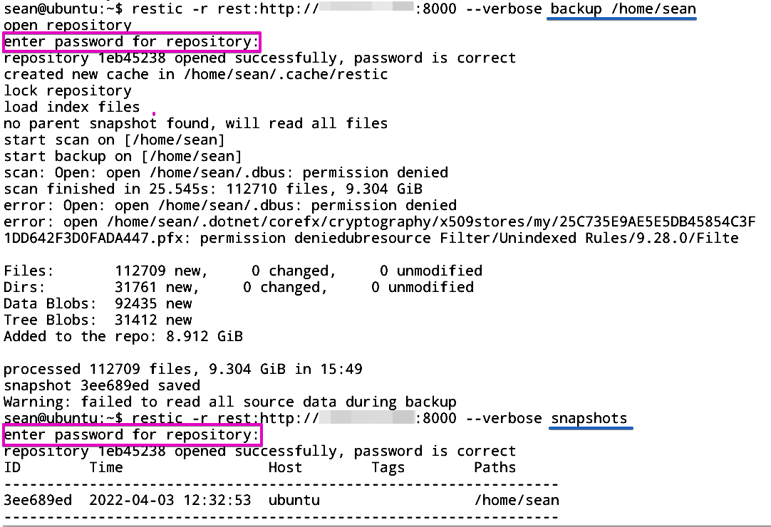 Backup home directory from restic to restic-server
