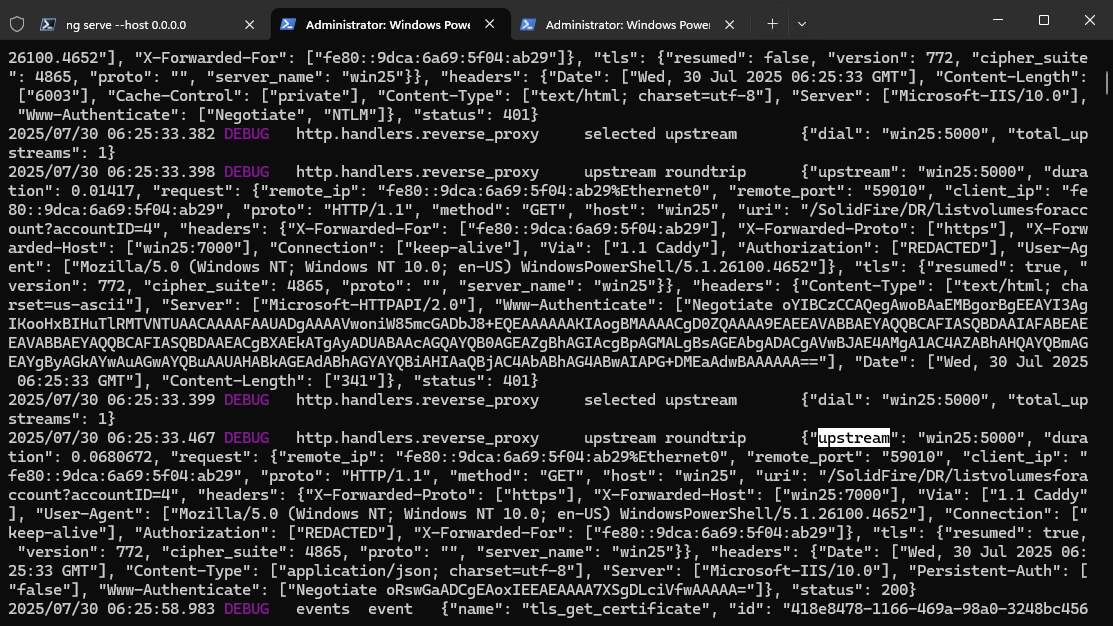 Reverse proxy