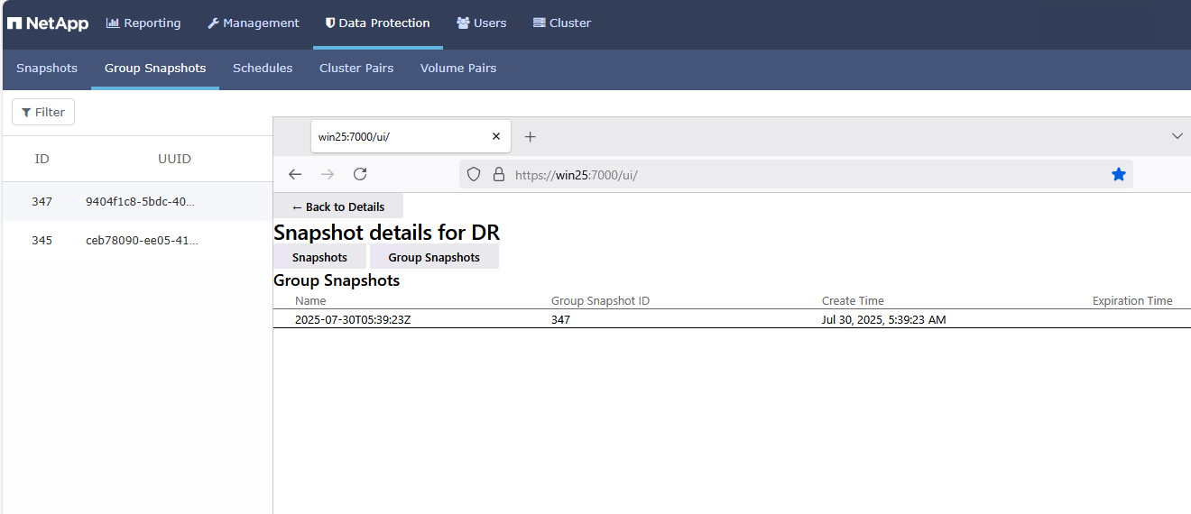 SolidFire WAC Extension - group snapshots view