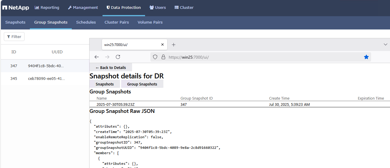 SolidFire WAC Extension - group snapshots view