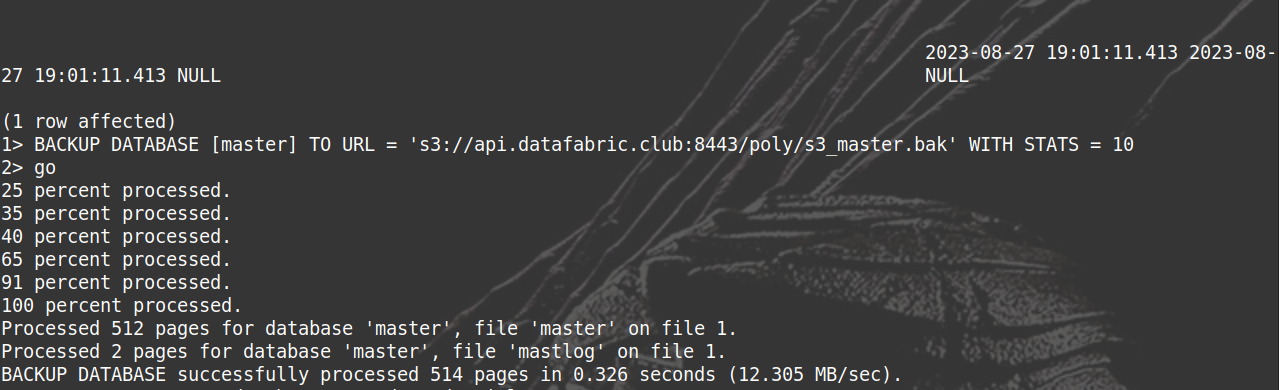 SQL Server backup to S3