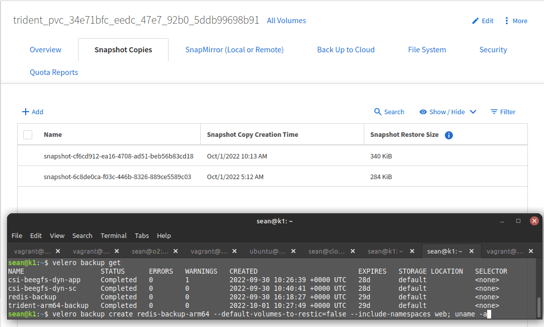 Velero on ARM64 with AWS and CSI plugin backing up a Trident CSI volume
